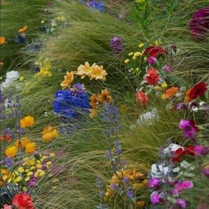 Meet your Posher, Debi